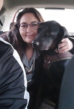 GUILLERMO, Hund, Mischling in Spanien - Bild 5