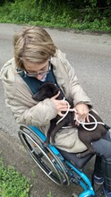 BRIONY, Hund, Pinscher-Terrier Mischling in Ungarn - Bild 2