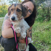 ALLIE, Hund, Mischlingshund in Slowakische Republik - Bild 4