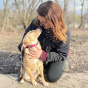 KIFA, Hund, Mischlingshund in Slowakische Republik - Bild 4