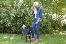 NORMITA, Hund, Mischlingshund in Lauf - Bild 5