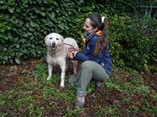 GENEROSA, Hund, Maremmano-Mix in Italien - Bild 8