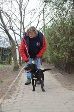 ASTERIX, Hund, Mischlingshund in Ungarn - Bild 3