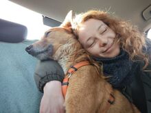 ROSCO, Hund, Mischlingshund in Kaiserslautern - Bild 2