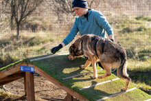 FLAME, Hund, Mischlingshund in Bulgarien - Bild 5
