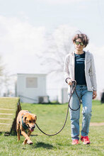 CORY, Hund, Mischlingshund in Bulgarien - Bild 2