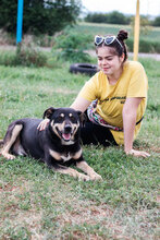 AXEL, Hund, Mischlingshund in Bulgarien - Bild 6