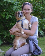PUTY, Hund, Mischlingshund in Kroatien - Bild 5