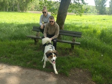 CHARLIE, Hund, Kokoni-Mix in Eixen - Bild 2