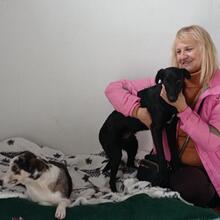 SALMON, Hund, Mischlingshund in Spanien - Bild 6