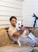 OLAF, Hund, Mischlingshund in Rumänien - Bild 18