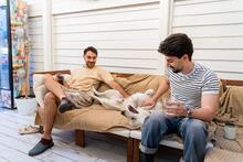 OLAF, Hund, Mischlingshund in Rumänien - Bild 24