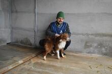 DUARTE, Hund, Mischlingshund in Italien - Bild 4