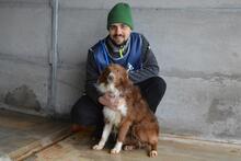 DUARTE, Hund, Mischlingshund in Italien - Bild 7