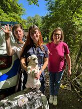 NOFRETETE, Hund, Mischlingshund in Italien - Bild 11