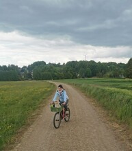 ARON, Hund, Mischlingshund in Hartenstein - Bild 17