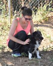 DIEGO, Hund, Mischlingshund in Spanien - Bild 6
