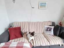 LOTTA, Hund, Mischlingshund in Eixen - Bild 3