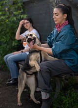 MELA, Hund, Deutscher Schäferhund-Mix in Rumänien - Bild 3