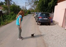 PABLO, Hund, Mischlingshund in Rumänien - Bild 10
