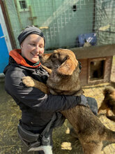 CLARA, Hund, Mischlingshund in Rumänien - Bild 6