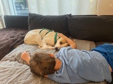 AVANI, Hund, Mischlingshund in Alling - Bild 5