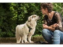 ZOE, Hund, Mischlingshund in Mönchengladbach - Bild 6