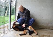 ANOOP, Hund, Rottweiler in Italien - Bild 10