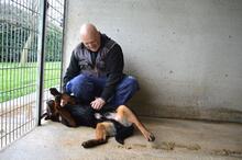 ANOOP, Hund, Rottweiler in Italien - Bild 11