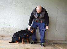 ANOOP, Hund, Rottweiler in Italien - Bild 13