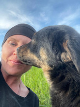 FINDUS, Hund, Mischlingshund in Rumänien - Bild 6