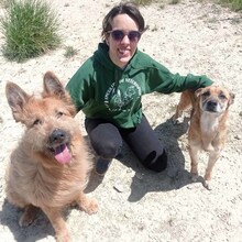 BULL, Hund, Mischlingshund in Spanien - Bild 12