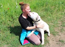 LAURA, Hund, Dogo Argentino in Hildesheim - Bild 14
