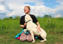 LAURA, Hund, Dogo Argentino in Hildesheim - Bild 19