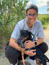 COKE, Hund, Pinscher-Mischling in Spanien - Bild 5