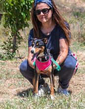 VICKY, Hund, Mischlingshund in Portugal - Bild 6