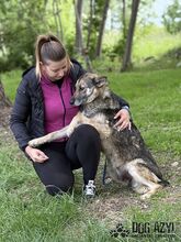 GINNY, Hund, Mischlingshund in Slowakische Republik - Bild 12