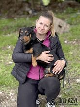 PETRO, Hund, Mischlingshund in Slowakische Republik - Bild 12