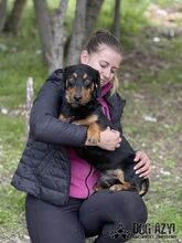 PETRO, Hund, Mischlingshund in Slowakische Republik - Bild 13