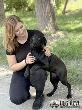 FATIMA, Hund, Mischlingshund in Slowakische Republik - Bild 10