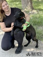FATIMA, Hund, Mischlingshund in Slowakische Republik - Bild 8