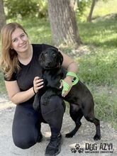 FATIMA, Hund, Mischlingshund in Slowakische Republik - Bild 9