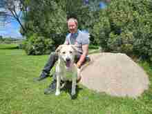 VICTORY, Hund, Labrador-Mix in Italien - Bild 2