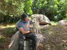 VICTORY, Hund, Labrador-Mix in Italien - Bild 3
