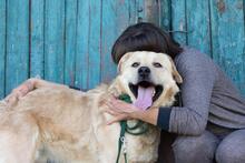 HANK, Hund, Labrador-Mischling in Ukraine - Bild 6