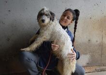 TEAGAN, Hund, Mischlingshund in Italien - Bild 6