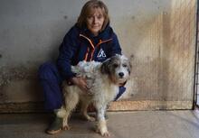 TEAGAN, Hund, Mischlingshund in Italien - Bild 9