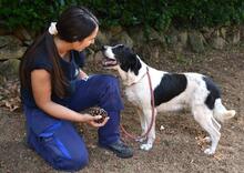 BIERENIKE, Hund, Mischlingshund in Italien - Bild 2