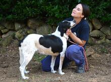 BIERENIKE, Hund, Mischlingshund in Italien - Bild 5