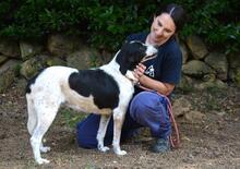 BIERENIKE, Hund, Mischlingshund in Italien - Bild 7